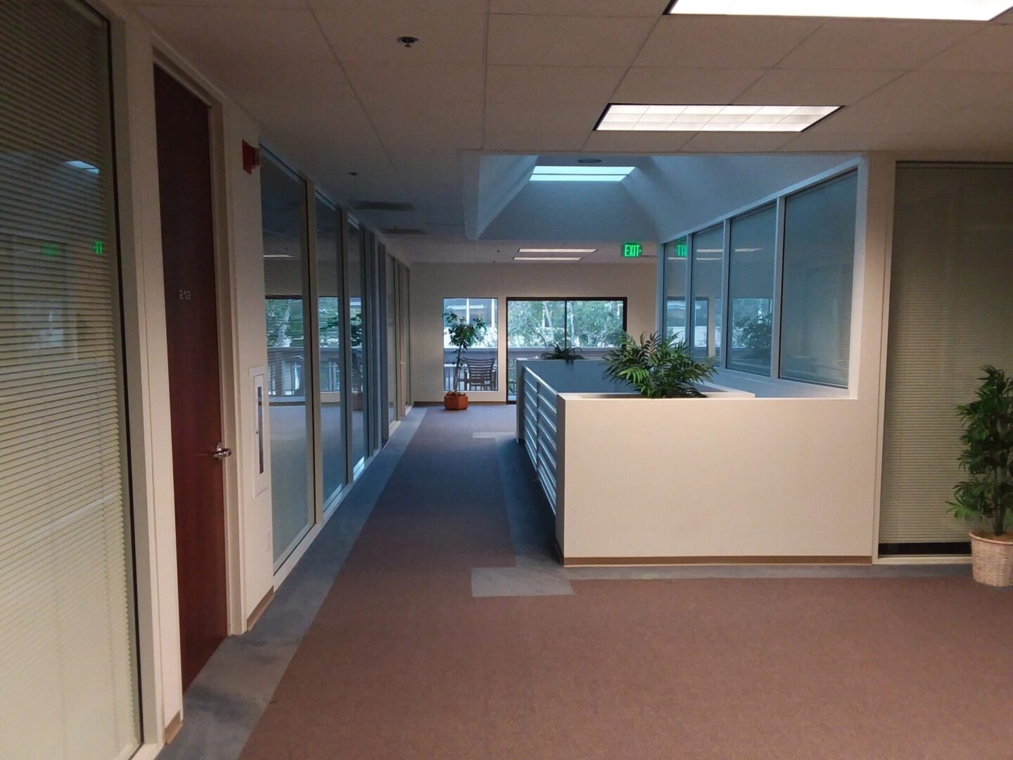 A hallway with windows and a plant in the middle.