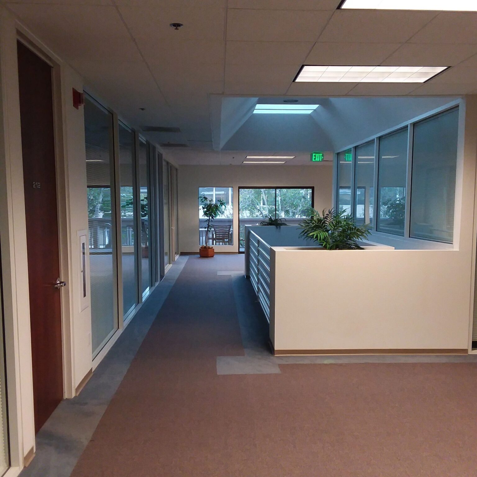 A hallway with a plant in the middle of it.